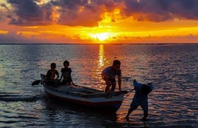 the boys in the boat pdf