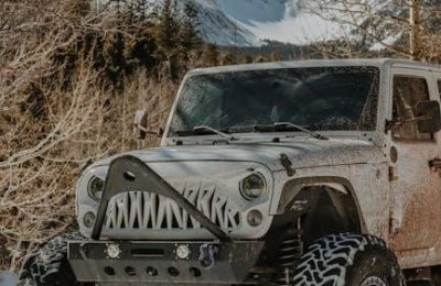all terrain trail guide tires